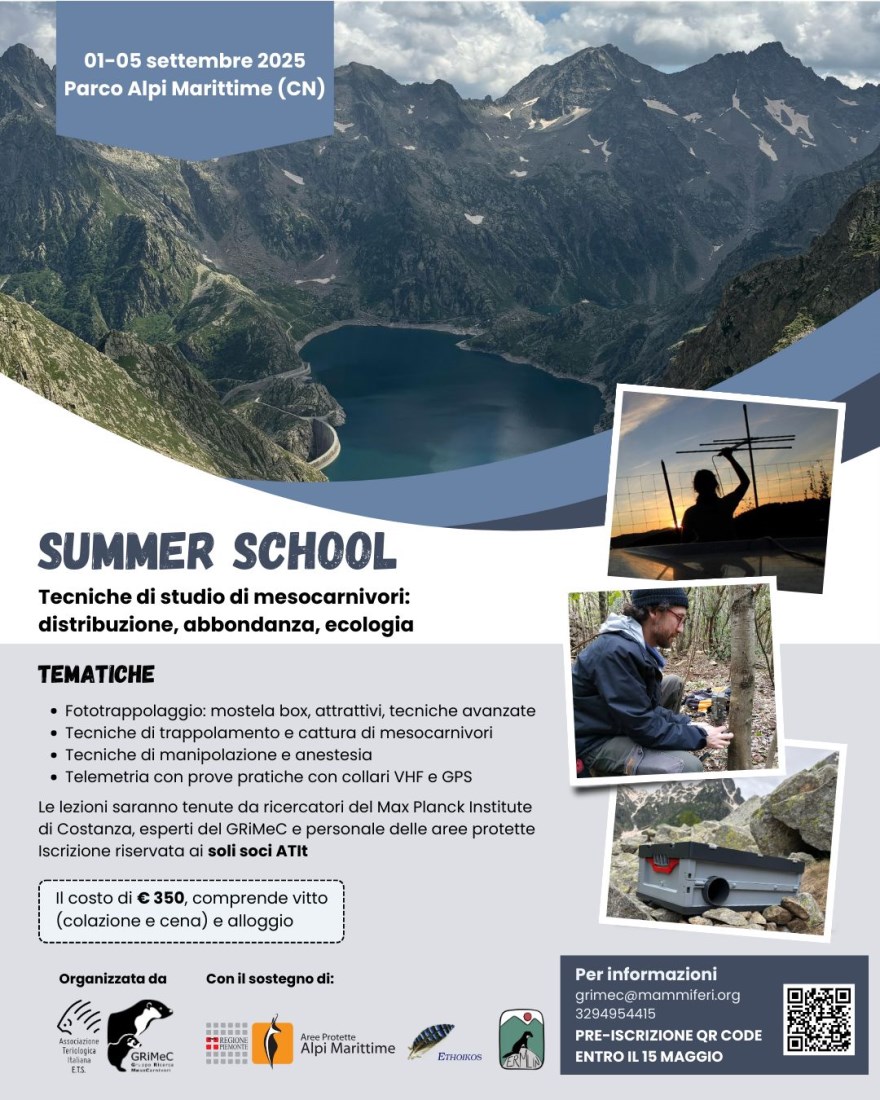 Locandina Summer School, Facebook